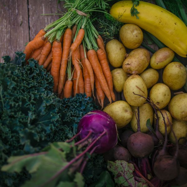 Example of a CSA bounty