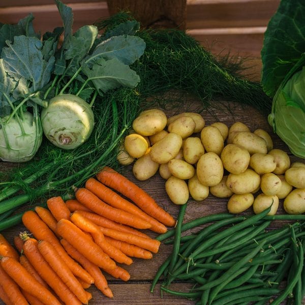 Example of a CSA bounty